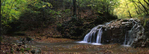 Un Torrente nel Parco Faunistico